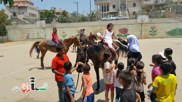 كفرقاسم - فيديو  : تعليم هواية ركوب الخيل في مدرسة جنة ابن رشد في اليوم الرابع لصيف الصادقة 